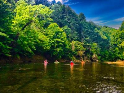 people in kayaks paddle on the rivanna river