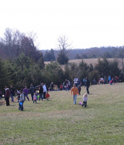 Easter Eggstravaganza