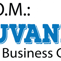 FROM: Fluvanna Small Business Grants