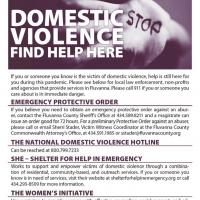 test providing domestic violence resources