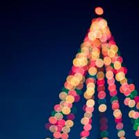 christmas tree lit with multiple colors
