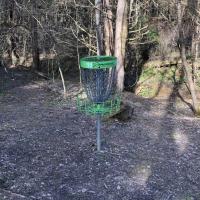 Disc Golf