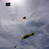 Kite Festival