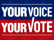 Your voice your vote image
