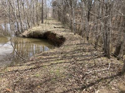 an earthen dam with trees growing on it, and a large chuch missing from the left side of the dam. water is on the left. 