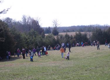 Easter Eggstravaganza